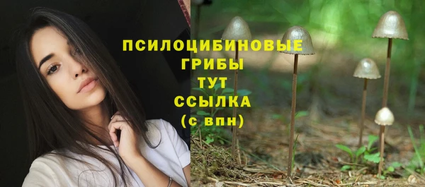 мяу мяу мука Богданович