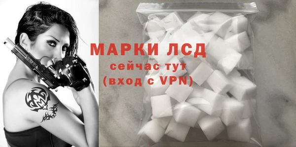 PSILOCYBIN Рославль