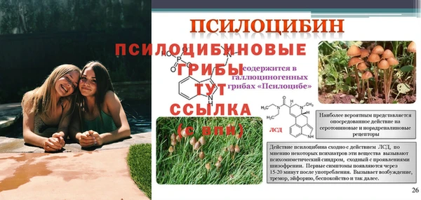 мяу мяу мука Богданович