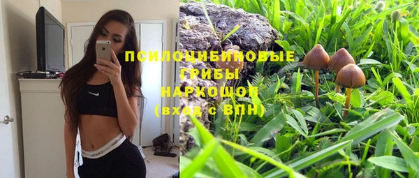 тгк Богородск