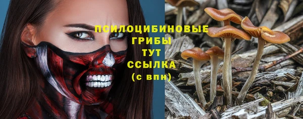 мяу мяу мука Богданович