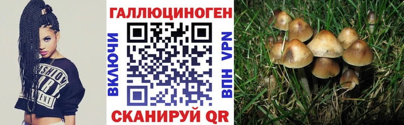 Псилоцибиновые грибы GOLDEN TEACHER  Ковдор 
